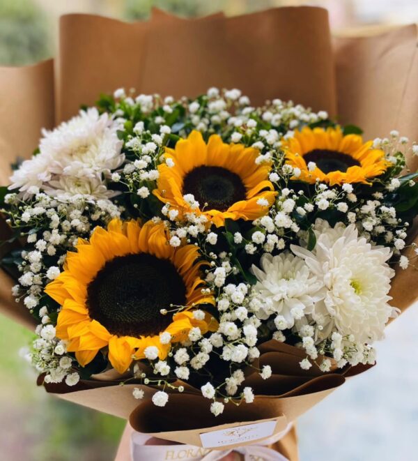 Harvest Joy