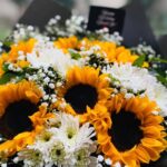 The Sunshine Harmony